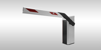 Access Pro L: Серый цвет